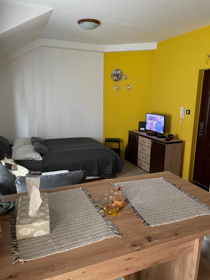 Apartman Bane Novi Sad Buitenkant foto